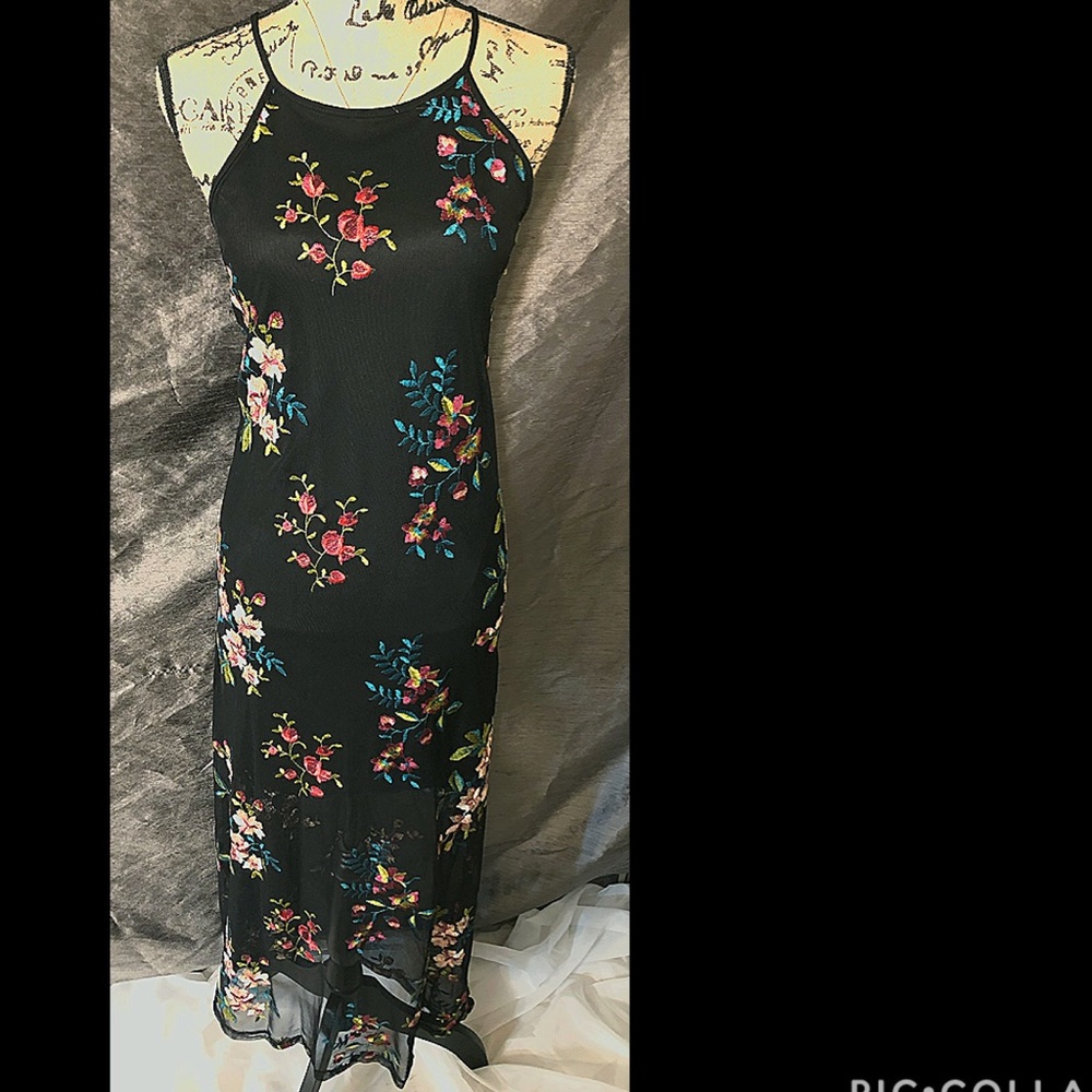 Long dress with sheer bottom. NEVER WORN!